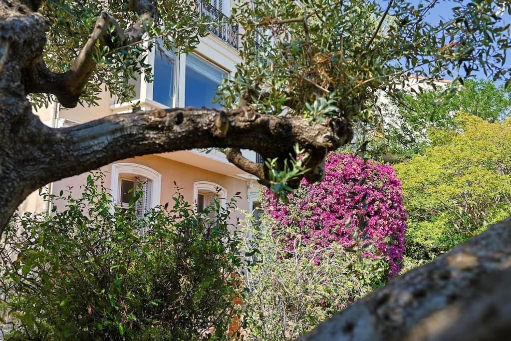 Maison De Maitre Centre Ville Hyères Esterno foto