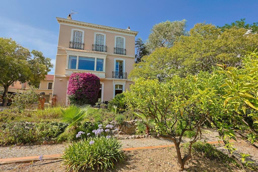 Maison De Maitre Centre Ville Hyères Esterno foto