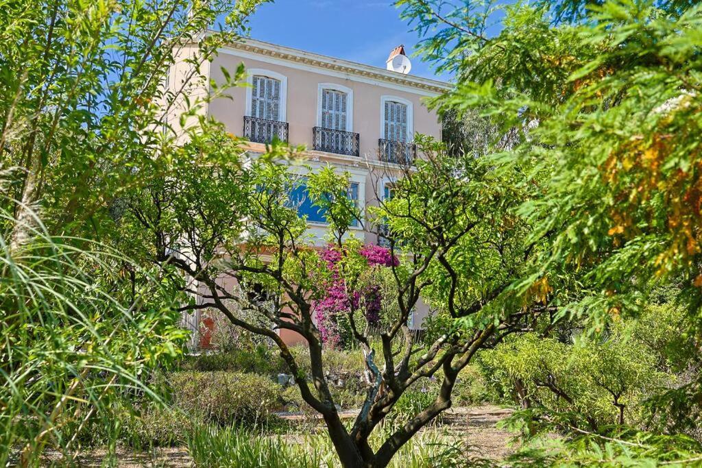 Maison De Maitre Centre Ville Hyères Esterno foto